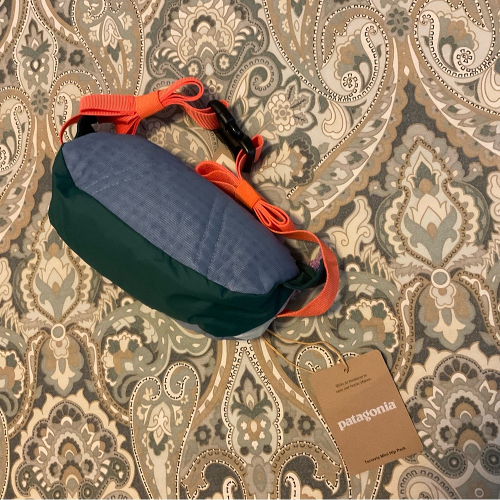 NWT Patagonia Terravia Mini Hip Pack 1L - Picture 10 of 13